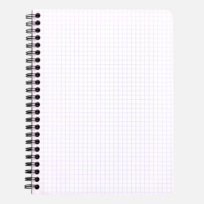 Caiet Rhodia Classic pentru scoala si birou, 80 file, A5+ - liniatura matematica [2]