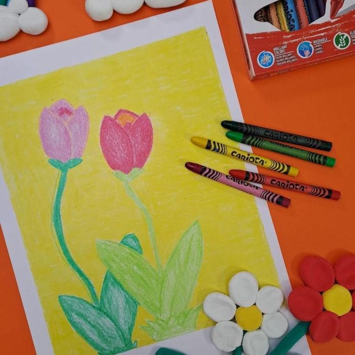 Creioane cerate Carioca, set 12 culori, lavabile, pentru desen si colorat [4]