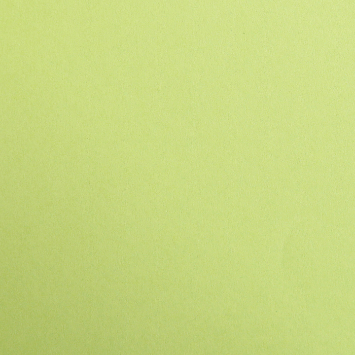 Hartie neteda - Verde crud, A4, 270g, Maya Clairefontaine [2]