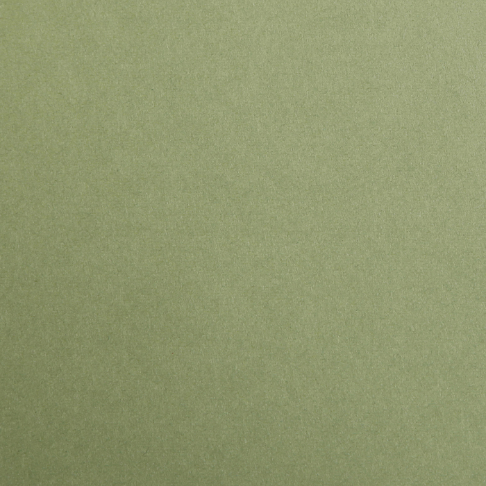 Hartie neteda - Kaki, A4, 270g, Maya Clairefontaine [2]