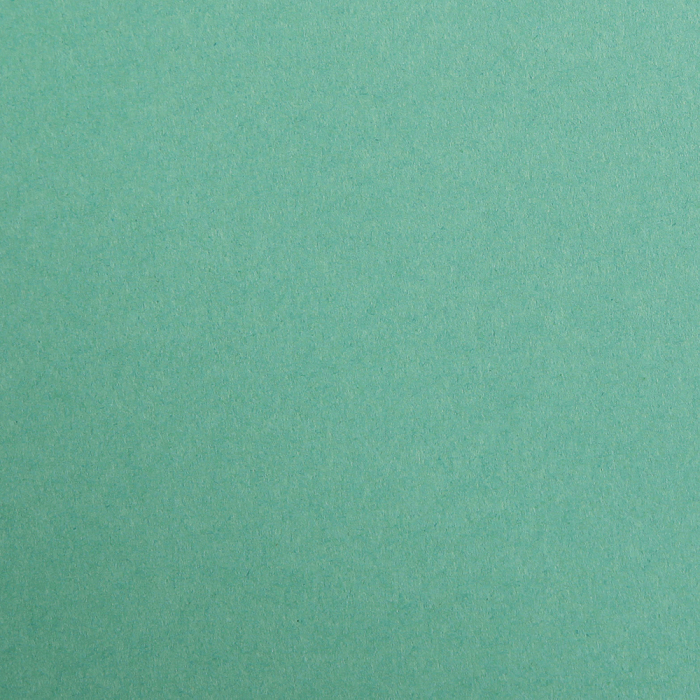 Hartie neteda - Verde inchis, A4, 270g, Maya Clairefontaine [2]