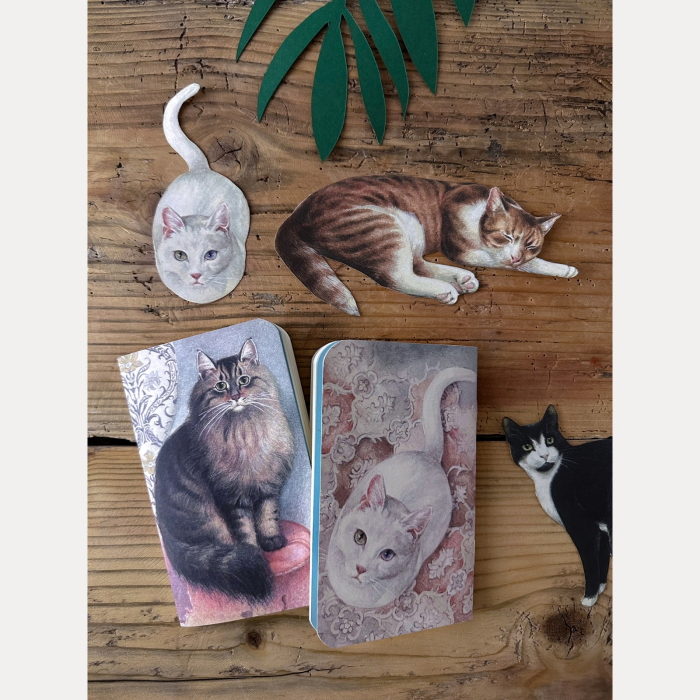 Hartie de ambalat cadouri Bomo Art, model The Nine Lives of Cats, 70x100cm, 90g/mp [3]