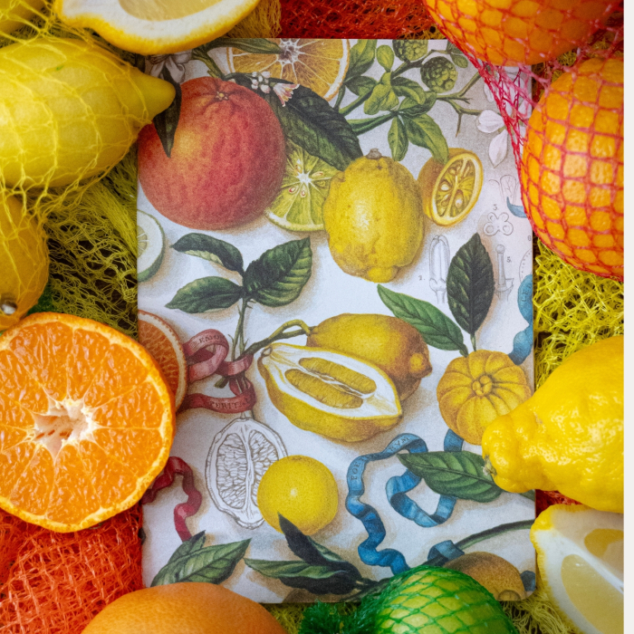 Hartie de ambalat cadouri Bomo Art, model  Summer Breeze from Amalfi, 70x100cm, 90g/mp [4]