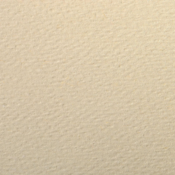 Hartie texturata - Ivory,  A4, 160g, Etival Clairefontaine, 5 buc [2]
