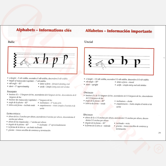 Manual pentru invatare caligrafie si scris artistic, ghotic, italic, foundational, uncial, pentru incepatori - Manuscipt [3]
