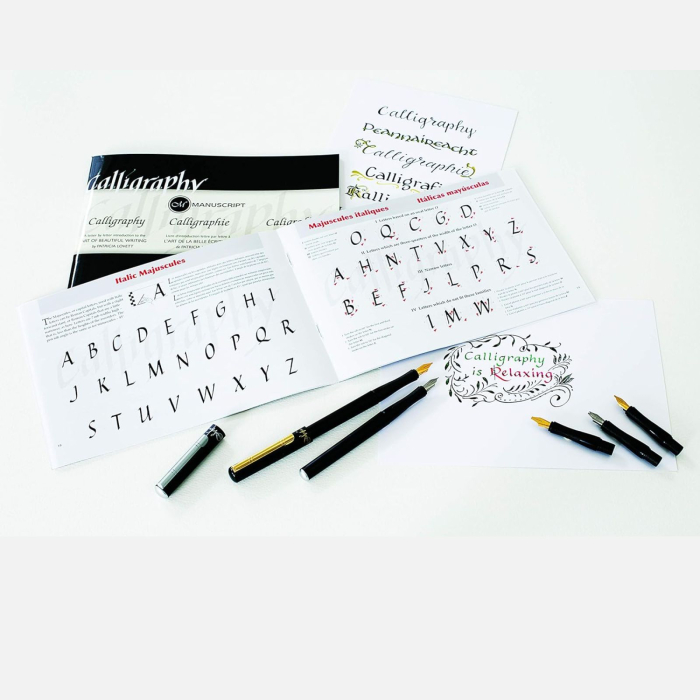 Manual pentru invatare caligrafie si scris artistic, ghotic, italic, foundational, uncial, pentru incepatori - Manuscipt [2]