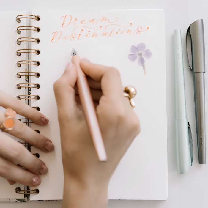 Set cadou stilou caligrafie italica Schneider Callissima, 3 penite interschimbabile, 6 patroane pastel, pentru hand lettering si bullet journal [9]