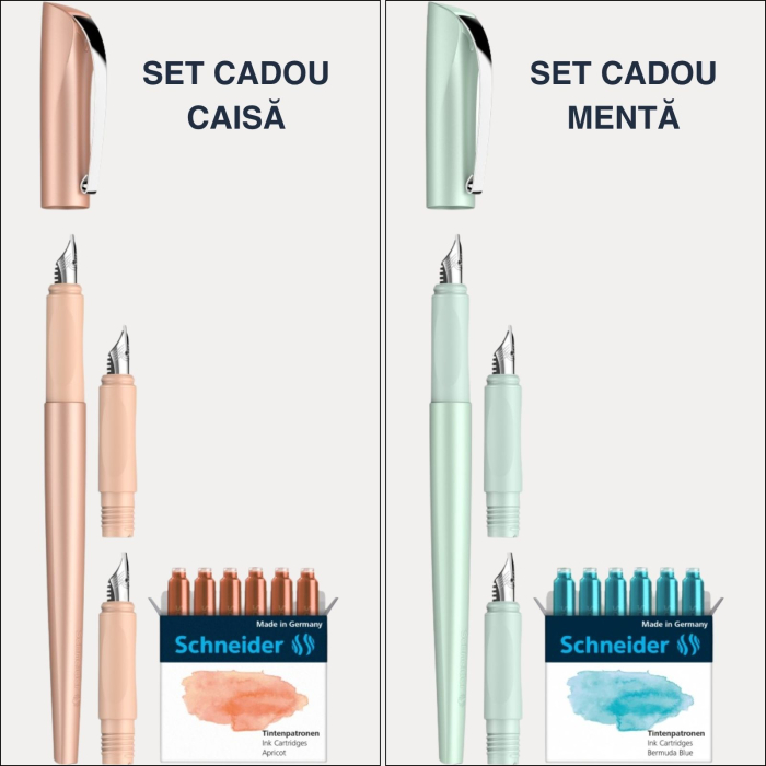 Set cadou stilou caligrafie italica Schneider Callissima, 3 penite interschimbabile, 6 patroane pastel, pentru hand lettering si bullet journal [4]