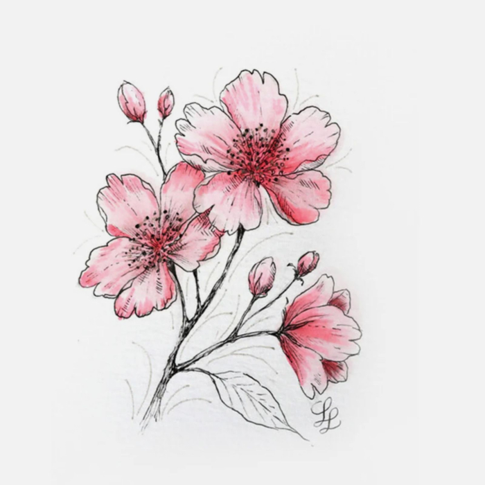 Set creativ Sakura Cherry Blossom cu instrumente complete pentru ilustratie + tutorial video [4]