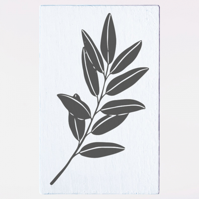 Stampila Ramura de maslin,  43x43mm, May&Berry pentru hobby, art&craft, activitati copii [1]