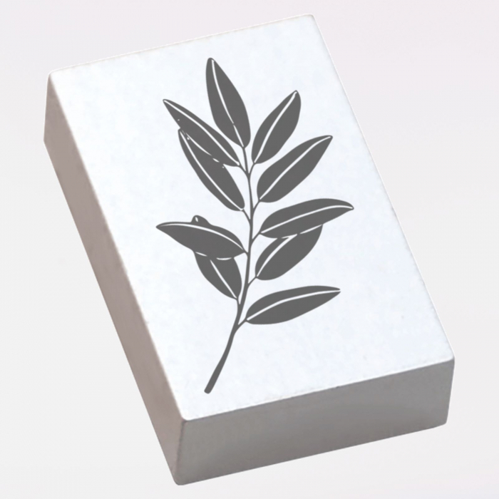 Stampila Ramura de maslin,  43x43mm, May&Berry pentru hobby, art&craft, activitati copii [2]
