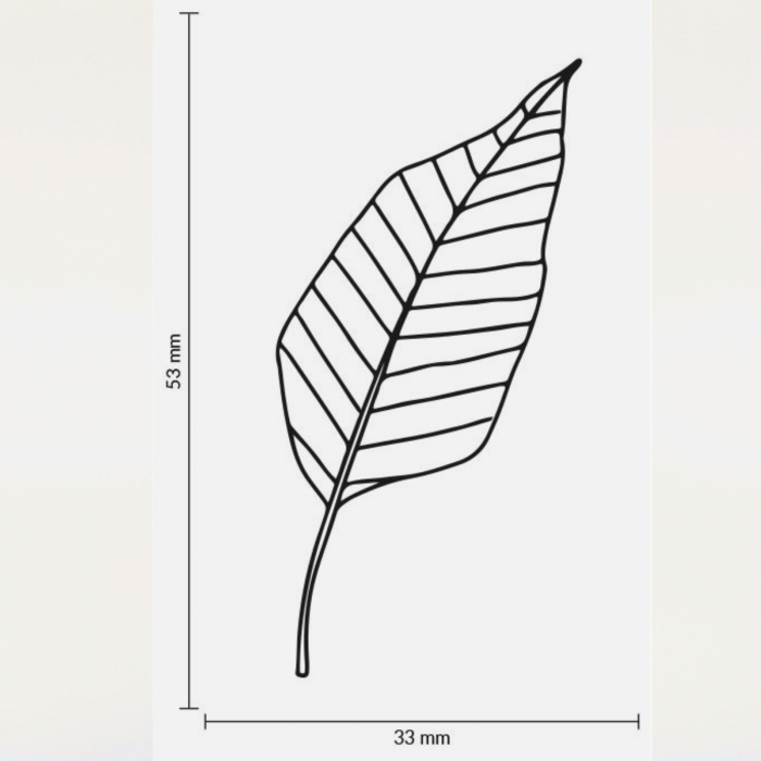 Stampila Frunza stilizata, 53x33mm, May&Berry pentru hobby, art&craft, activitati copii [3]