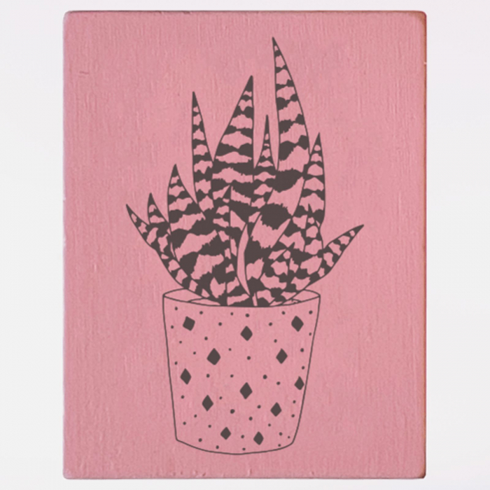 Stampila Aloe Vera, 43x33mm, May&Berry pentru hobby, art&craft, activitati copii [1]