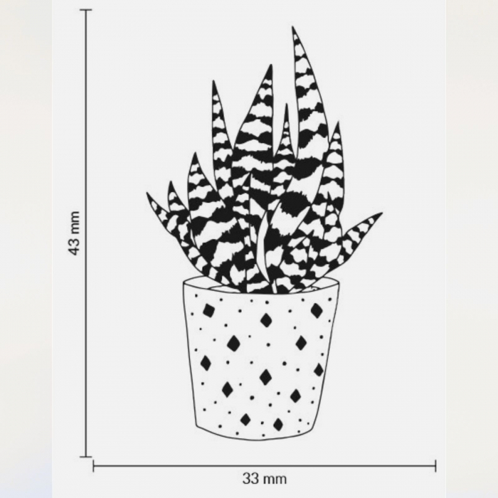 Stampila Aloe Vera, 43x33mm, May&Berry pentru hobby, art&craft, activitati copii [3]