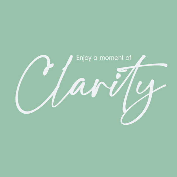 Stilou pentru scris zilnic cu penita iridiu, marime M, diverse culori - Manuscript Clarity [8]