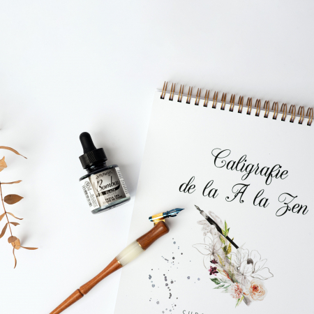 Caiet caligrafie - Kit de initiere in caligrafia moderna + VIDEO [2]
