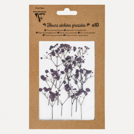Flori sigilii de ceara - Flori uscate - Floarea Miresei Gypsophilia