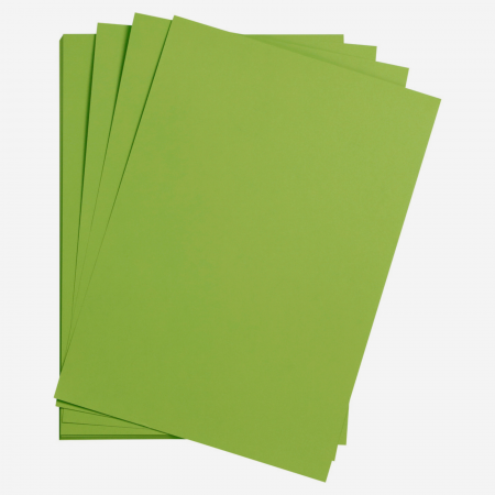 Papetarie - Hartie neteda - Verde crud, A4, 270g, Maya Clairefontaine