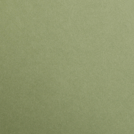 Hartie neteda - Kaki, A4, 270g, Maya Clairefontaine [1]