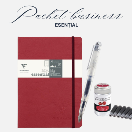 SETURI EXCLUSIVE - Pachet BUSINESS ESENTIAL - agenda rosie & stilou Herbin, penita F si cerneala rosie