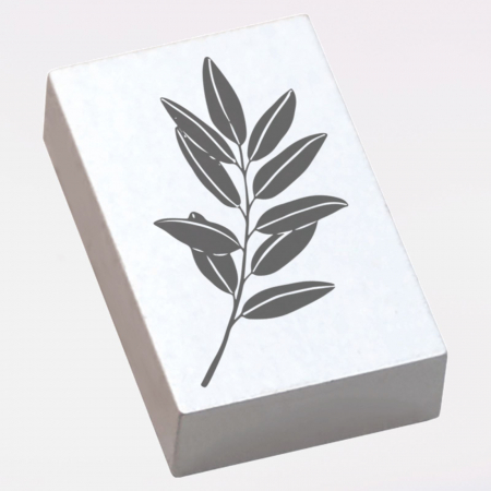 Stampila Ramura de maslin,  43x43mm, May&Berry pentru hobby, art&craft, activitati copii [1]