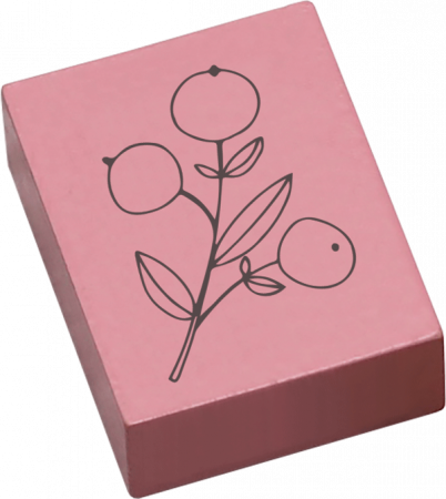 Stampila Frunza de maces, 43x33mm, May&Berry pentru hobby, art&craft, activitati copii [1]