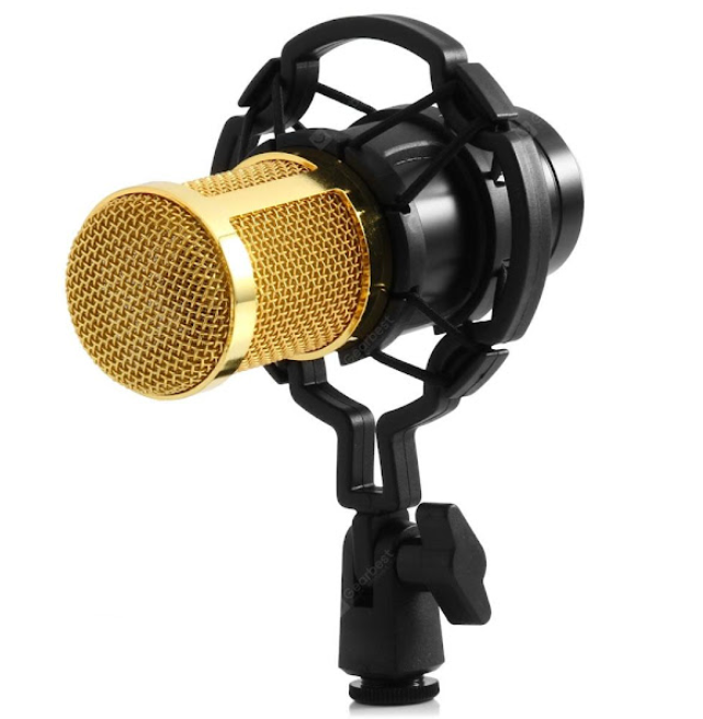 microfon [1]
