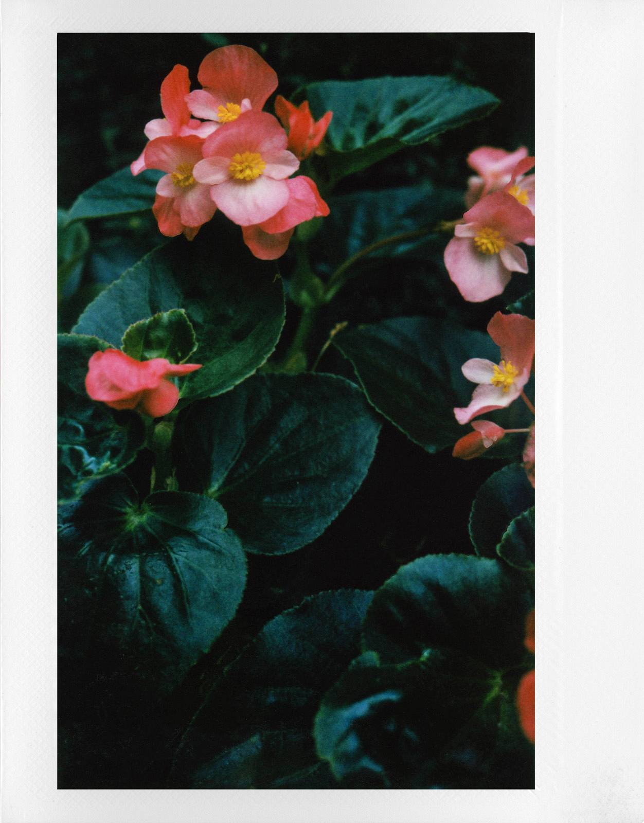 Aparat foto Lomo’Instant Wide Glass, Lentile sticla, Negru