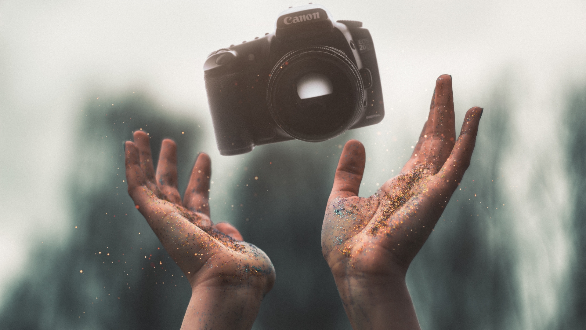 Aparatele Sony sau Canon? Ce model se potrivește nevoilor tale?