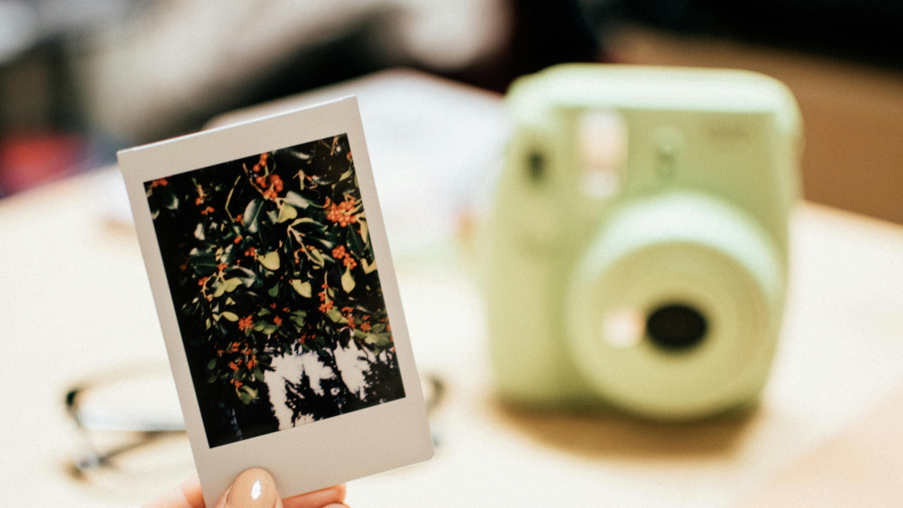 Aparatele foto: Modelele ideale pentru travel, moodboards și instantanee