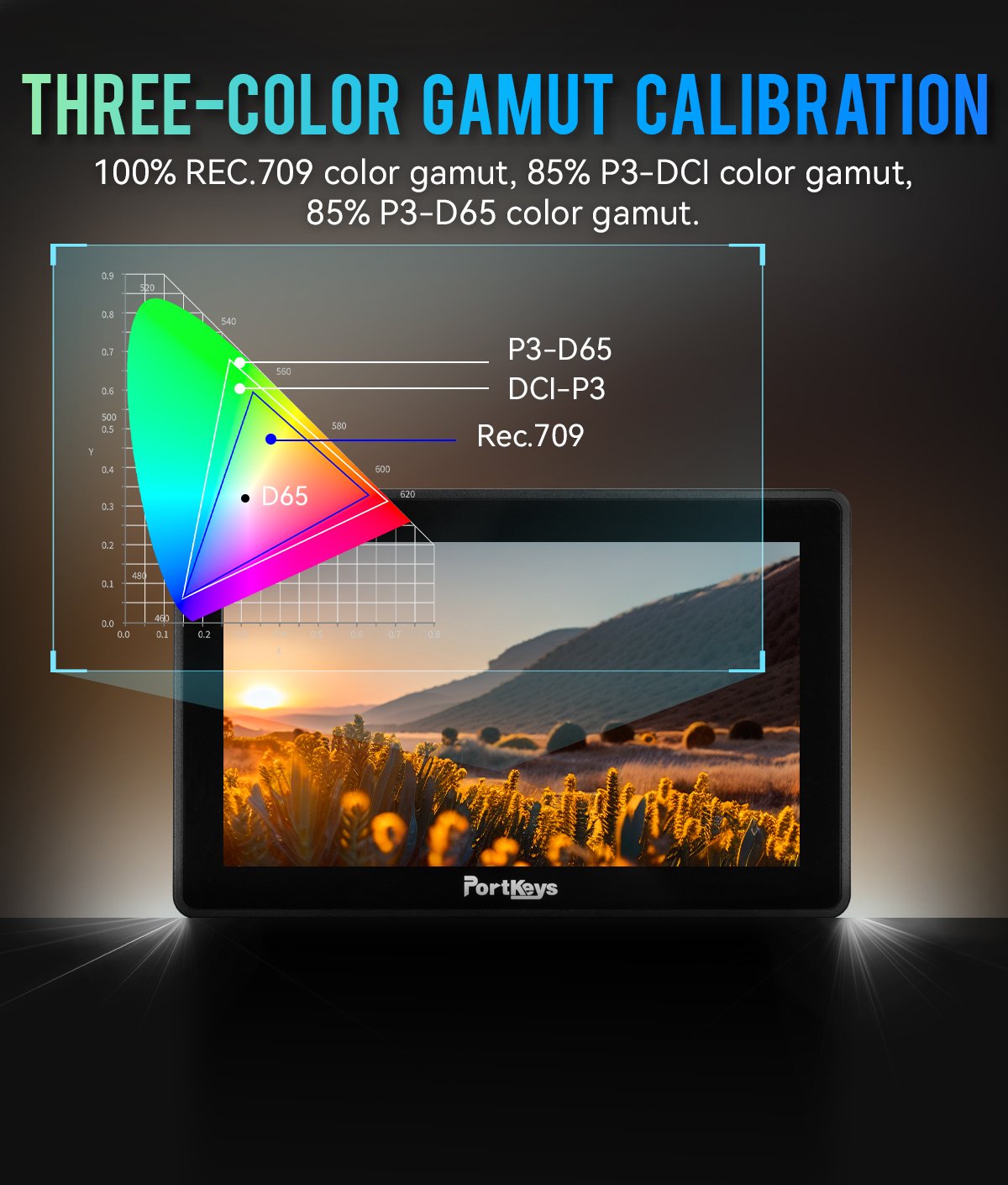 Monitor Portkeys BM5IV