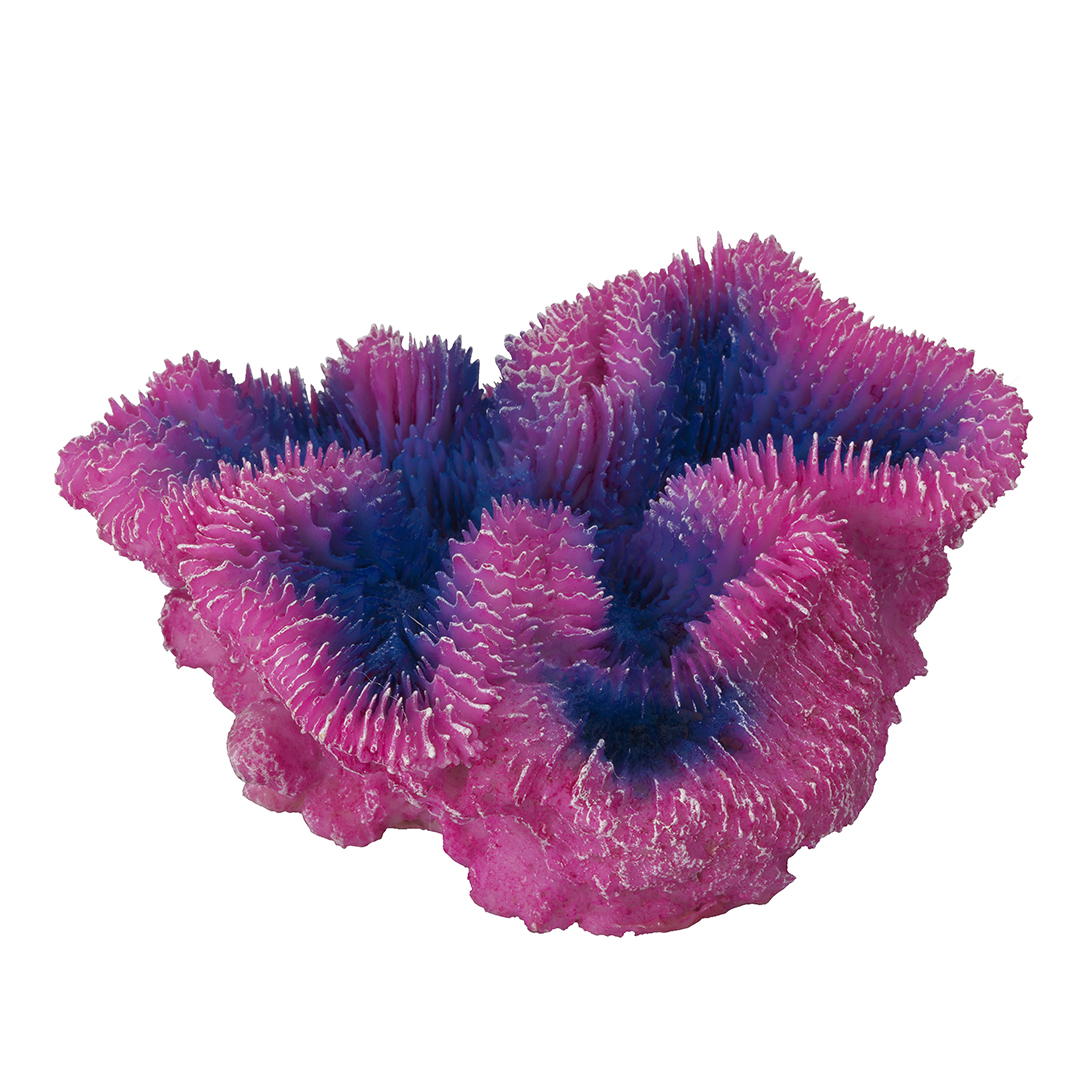 Decoruri si plante artificiale acvarii - Decor Coral Symphylia Violet 12 x 5 x 12 cm