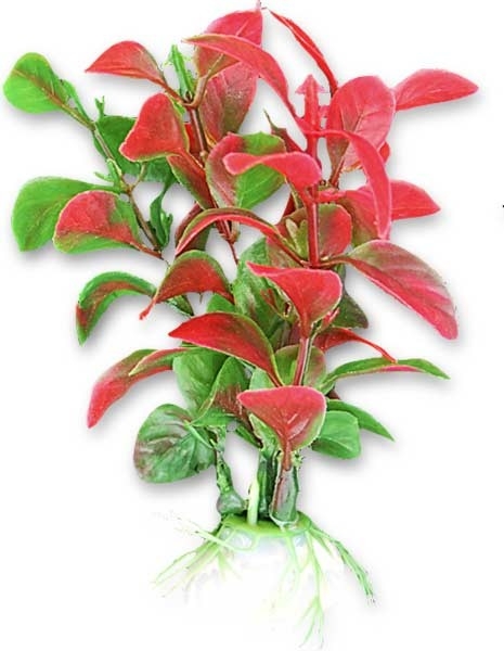 Decoruri si plante artificiale acvarii - Planta Artificiala Pentru Acvariu, 10 cm, Verde/Rosu
