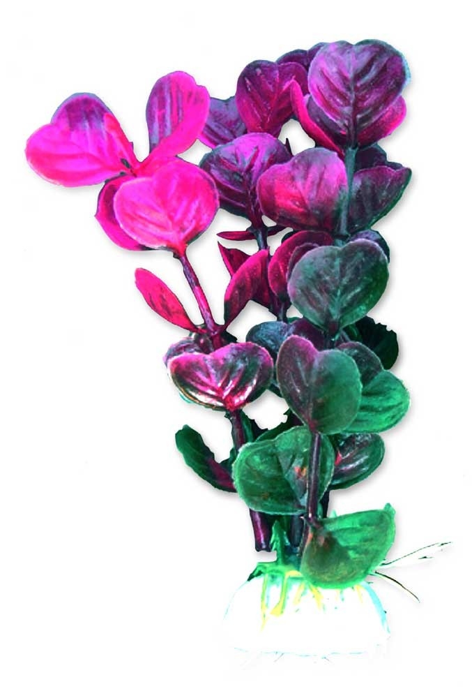 Decoruri si plante artificiale acvarii - Planta Artificiala Pentru Acvariu, Blister, 10 cm, Roz/Violet/Verde