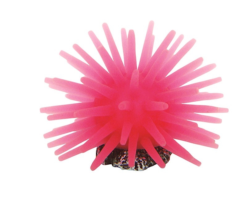 Acvaristica si teraristica - Decor pentru Acvariu, Coral, 5 x 5 x 4 cm