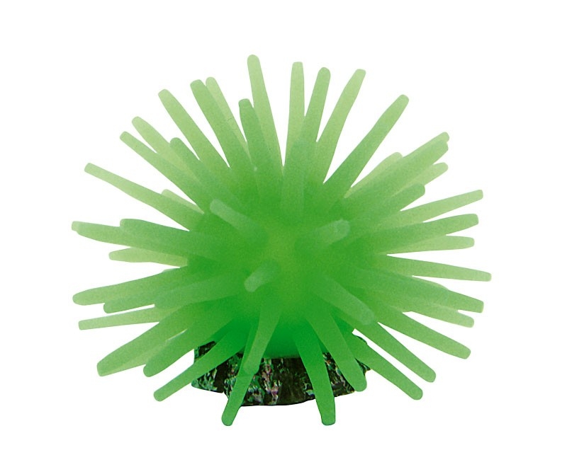 Acvaristica si teraristica - Decor pentru Acvariu, Coral, 5 x 5 x 4 cm