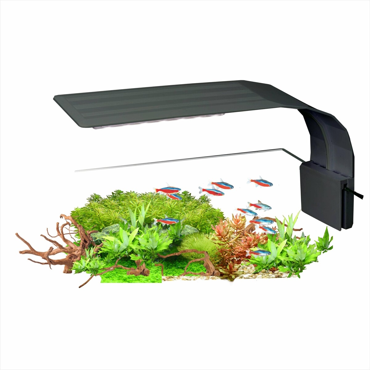 Lampa Pentru Acvariu, AquaLED Nano Black, 7W [5]