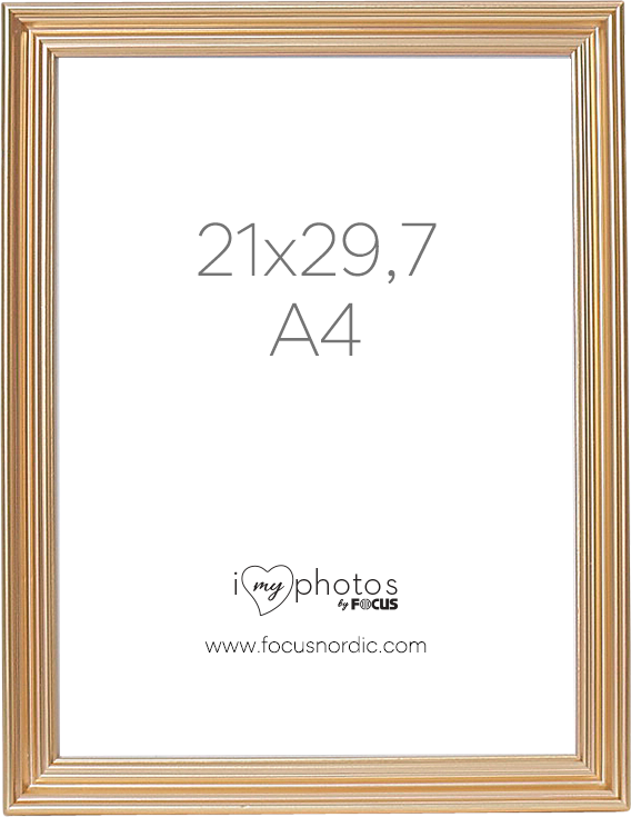 Rame si albume foto - Rama Focus Verona Gold 21x29,7 (A4)