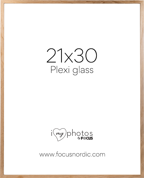 TV, Audio-Video & Foto - Rama Focus Soul Oak veneer 21x30 Plexi