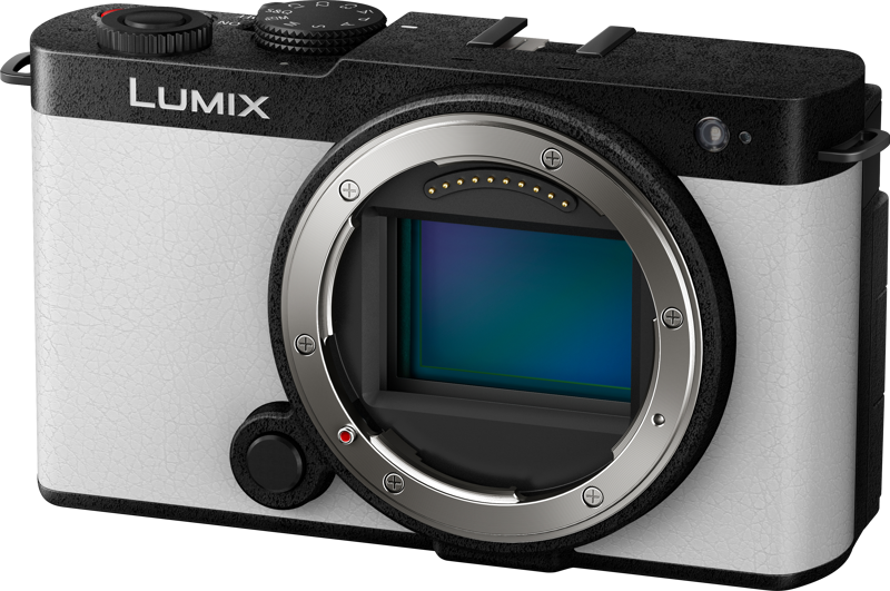 TV, Audio-Video & Foto - Aparat Foto Mirrorless Full Frame Panasonic Lumix S9 Body, Smokey White