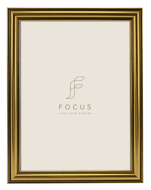 Rame si albume foto - Rama Focus Holly Gold 20x30