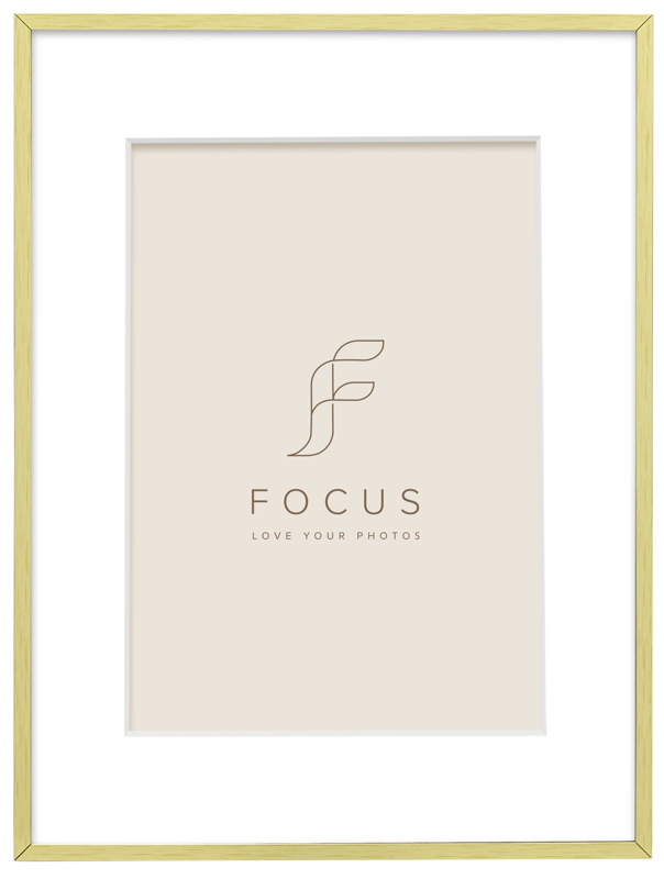 Rama Focus Aster Gold 30x40/PP 20x30 [0]