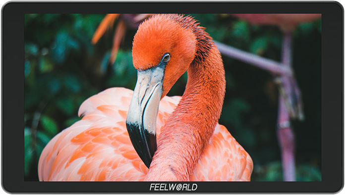 TV, Audio-Video & Foto - Monitor Feelworld P6XL 6"