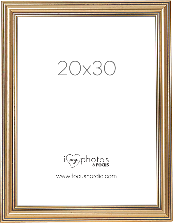 Rama Focus Tango Classic Gold 20x30 [0]