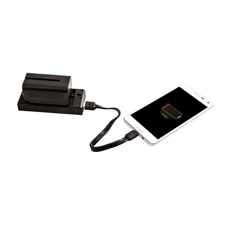 Încărcător baterii Nanlite CN-58 pentru NP style battery [1]