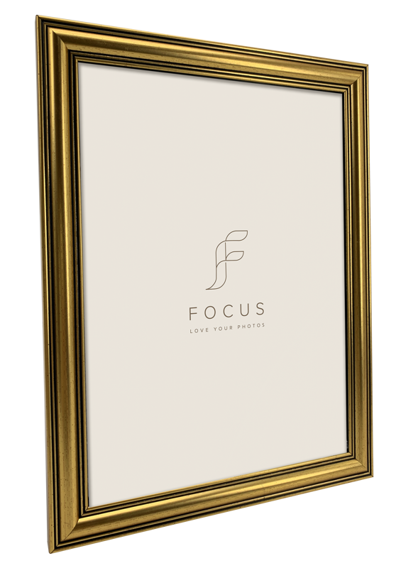 Rama Focus Holly Gold 20x30 [1]