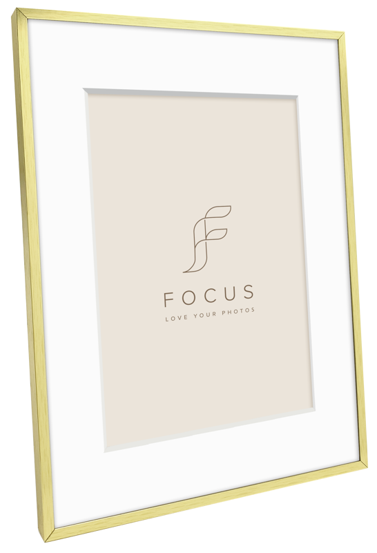 Rama Focus Aster Gold 24x30/PP 18x24 [1]