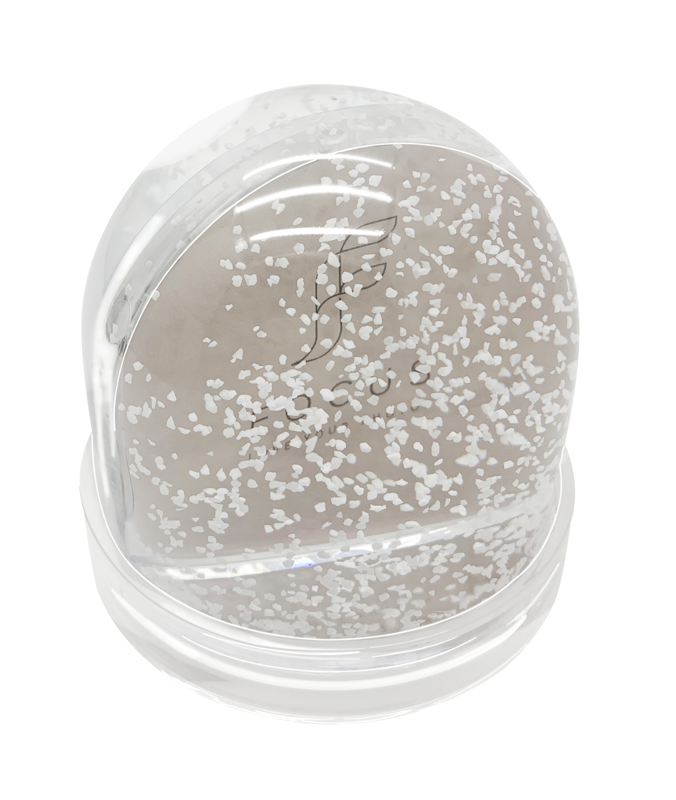 Rama Focus Christmas Photo globe acrylic [1]