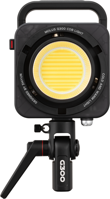 Lumina LED continua Bi-color Zhiyun Molus G300 [2]