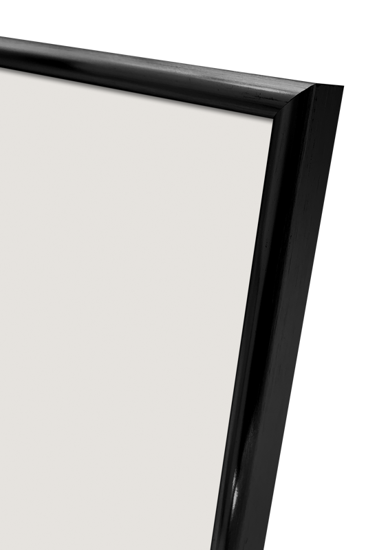 Rama Focus Lily Black 24x30 [2]